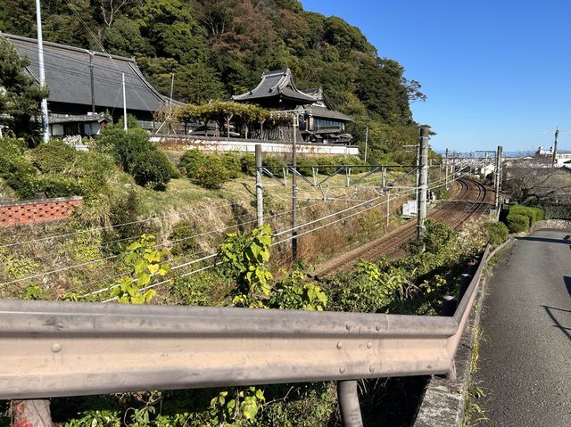 【静岡県】徳川家康も勉学に励んだ！清見寺をご紹介