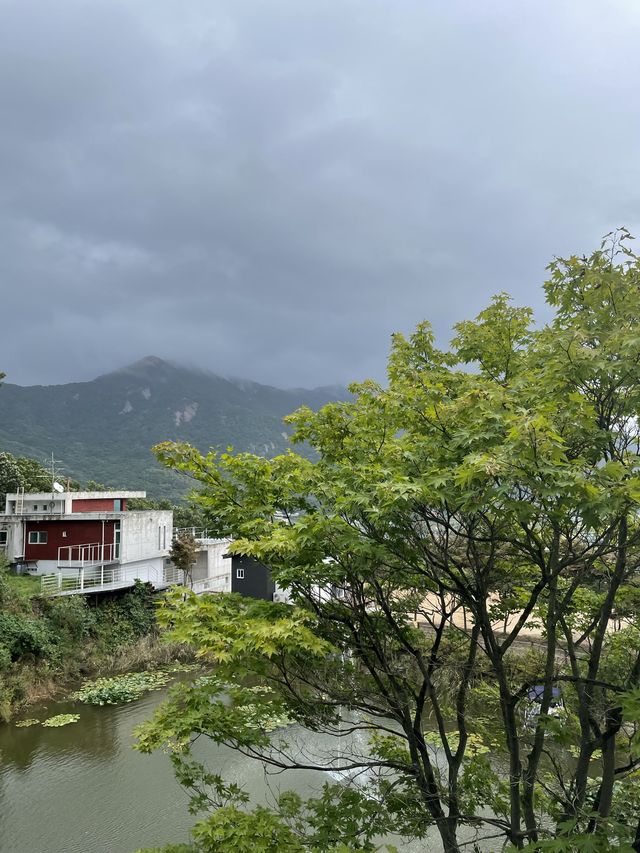 산속에서 멍때리기 좋은 강화도 카페 ‘멍때림’