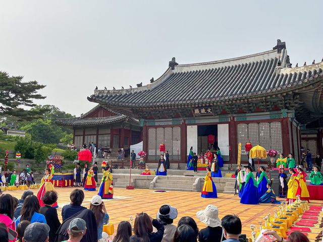  [창경궁]  서울 도심 속 고궁 나들이