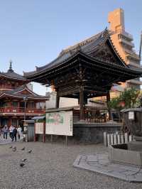 名古屋　名古屋観光　大須商店街〜大須観音散策するだけでも楽しい！