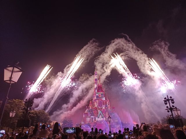 唐老鴨生日派對…