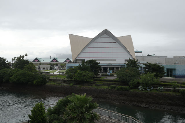 探索海洋奇觀：帶小朋友遊覽鹿兒島水族館
