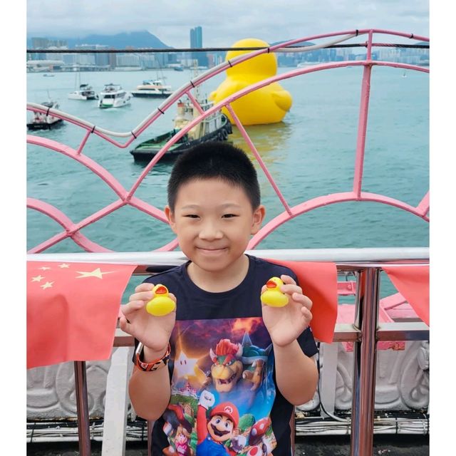 🛳洋紫荊維港遊🐥黃鴨熱潮