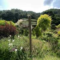 The Garden of Morning Calm