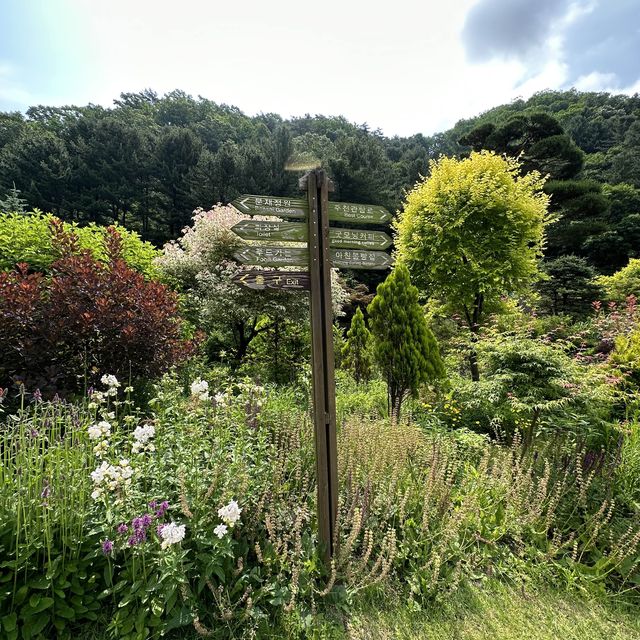 The Garden of Morning Calm