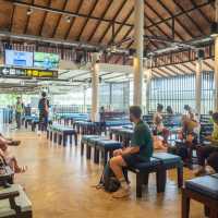 หนีแมวไป "สนามบินตราด" Trat Airport  ✈️
