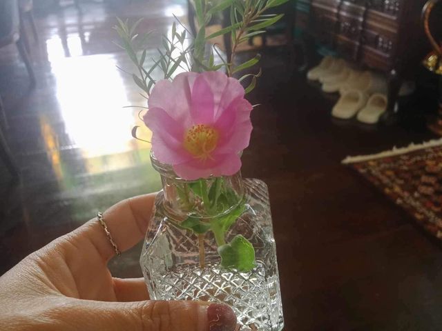 ดื่มนมควาย เที่ยวธรรมชาติ