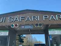Fuji Safari Park- 孩子的夢寐以求動物園