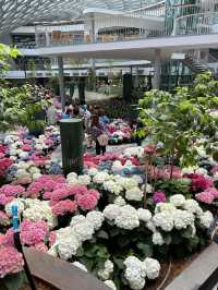 Miracle of natural ระยอง