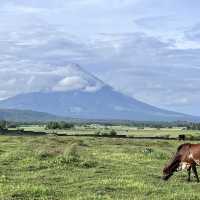 Majestic Mount Mayon
