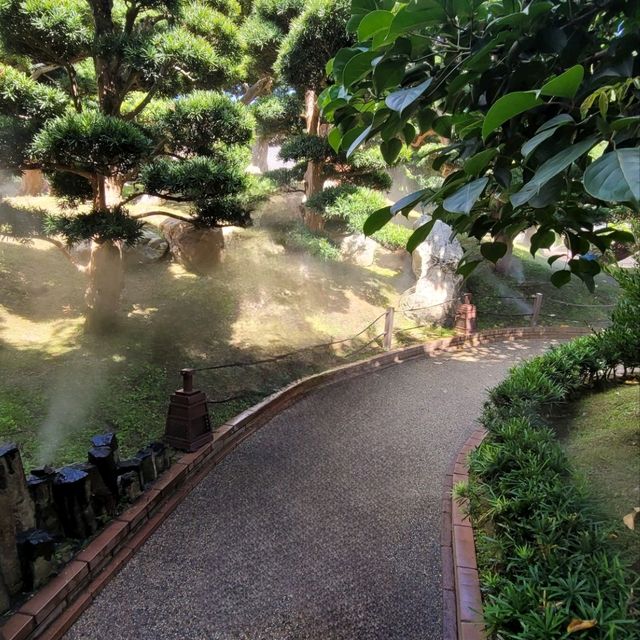 香港南蓮園池：尋找城市中的恬靜之地