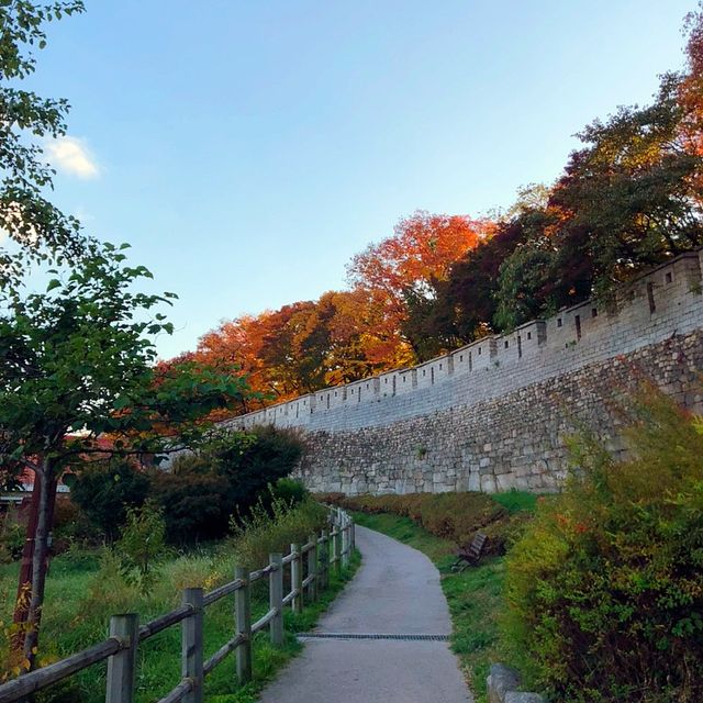 단풍지는 🌳낙산공원 성곽길 🌳에서 없는 감수성도 끌어올려~