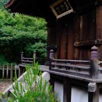 常寂光寺!!尋找內心寧靜的放鬆🌸🏯 
