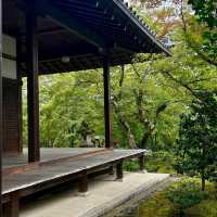 常寂光寺!!尋找內心寧靜的放鬆🌸🏯 