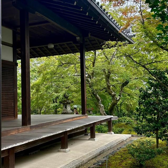 常寂光寺!!尋找內心寧靜的放鬆🌸🏯 