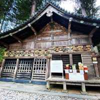 Discover amazing Nikko Toshogu Shrine