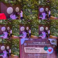Disney & Christmas盡在太古城GROW with LOVE
