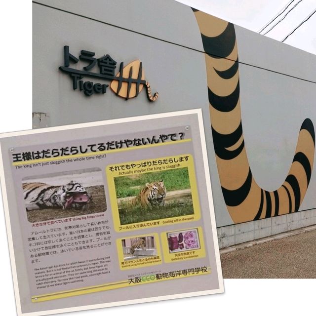 わかりやすい！大阪eco動物海洋専門学校　天王寺動物園