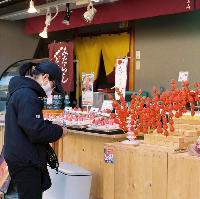 필름카메라로 담아낸 은각사의 멋진 정원!