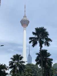Perfect shot of Twin Towers by local seller