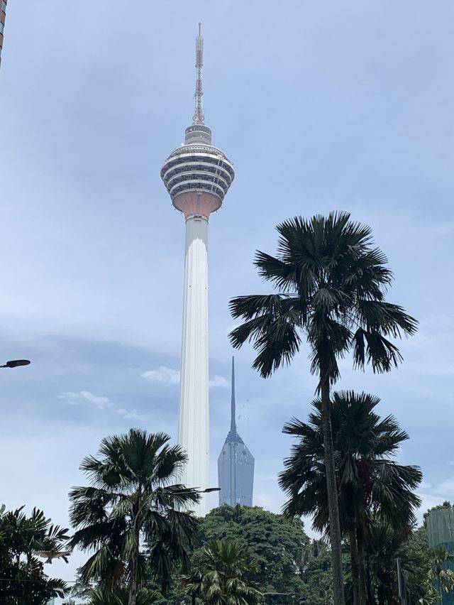 Perfect shot of Twin Towers by local seller
