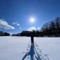 Winter Wonderland in Hokkaido