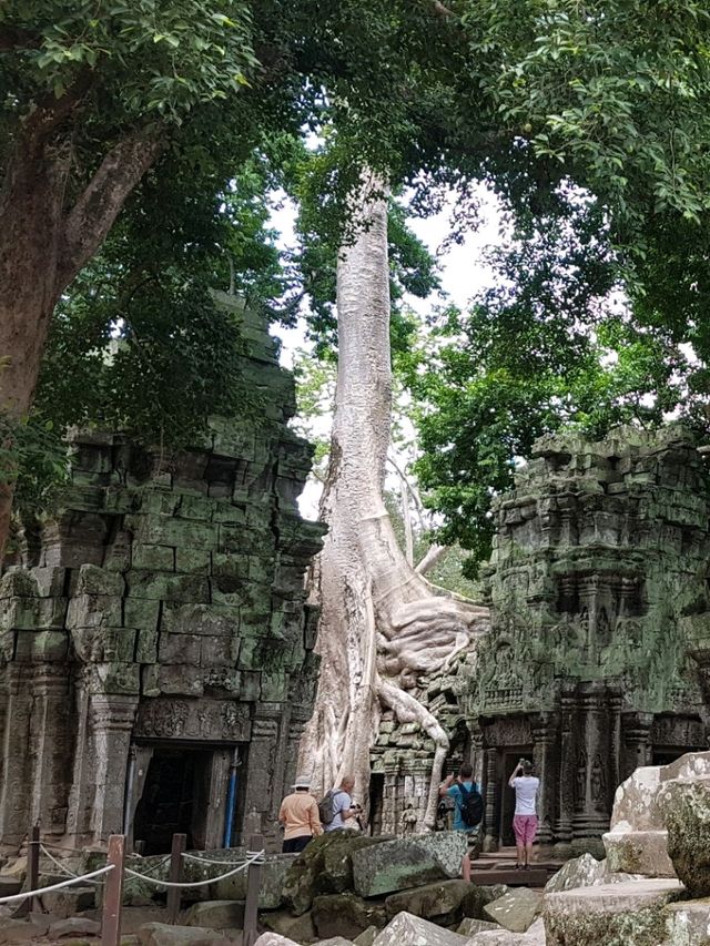 ❤️ a temple that co-exists with nature❤️