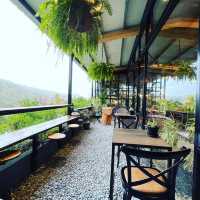 台北陽明山野人花園咖啡｜美 ！森林系咖啡廳