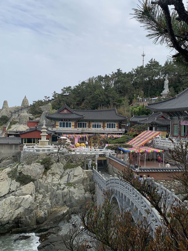 부산 기장 바다 옆에 있는 멋진뷰의 사찰🏮 [부산_해동용궁사]