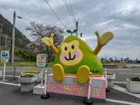 野生のサルを間近で見られる高崎山🐒