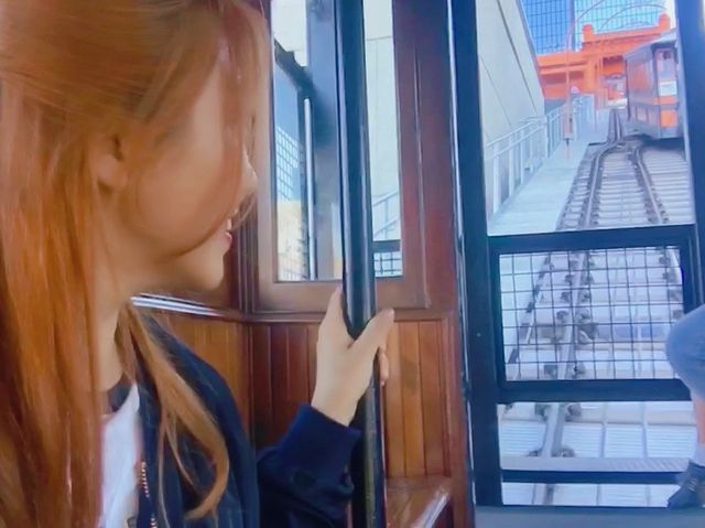 다니엘헤니와 나혼산 멤버들도 방문! 라라랜드의 주인공들의 데이트장소 엔젤스플라이트