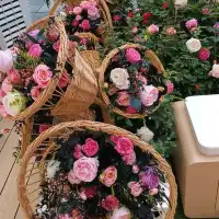 特別到海港城，欣賞三個特別展覽 ！