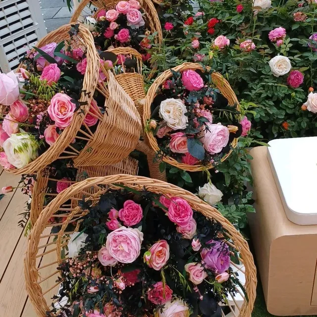 特別到海港城，欣賞三個特別展覽 ！