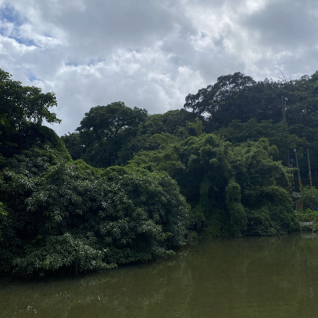 大火房泉水浣衣池🤩好乾淨的泉水