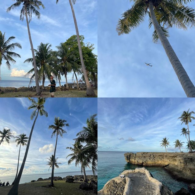 Coconut Garden in Ujong Kareung