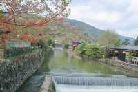 Arashiyama Bamboo Grove & Togetsu-kyo Bridge