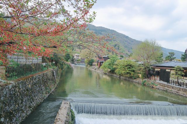 Arashiyama Bamboo Grove & Togetsu-kyo Bridge