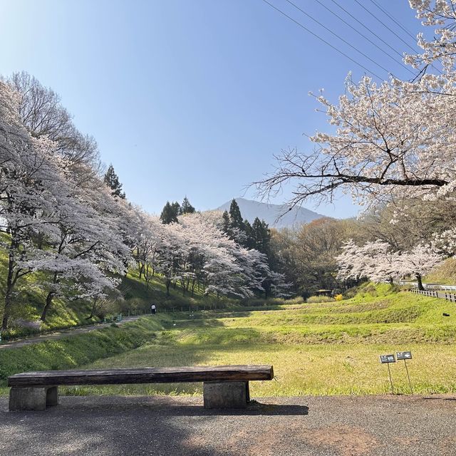 東京近郊景點 – 秩父羊山公園