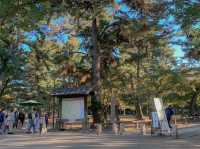 สวนกวางนารา Nara Park 🦌