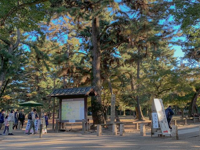 สวนกวางนารา Nara Park 🦌