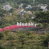 TheBlueSkyResort  𝗞𝗵𝗮𝗼 𝗞𝗵𝗼🏡