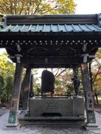 東京市內必去🤪高尾山藥王院😚一日遊推薦😎親子遊最佳景點