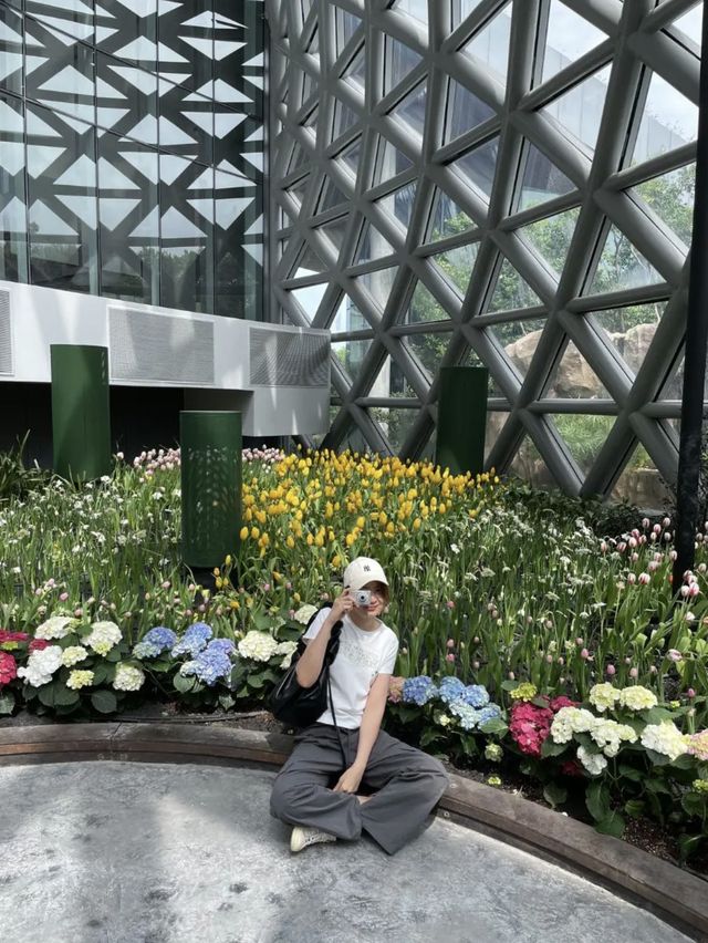 ทุ่งดอกทิวลิปที่ไม่ต้องไปไกลถึงสวิสแล้ววว 🌷🌸✨