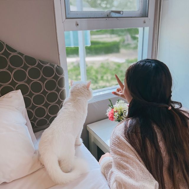 พิกัดที่พักพาน้องหมา น้องแมวเข้าพักได้ 🐕🐈