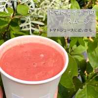 【大阪・鶴橋】裏鶴橋にある身体に良いスムージー