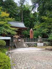 玉の輿にのれる！？　今宮神社