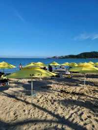 여름핫플! 울산 진하해수욕장🏖