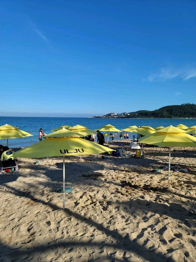 여름핫플! 울산 진하해수욕장🏖