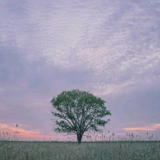 서울 한시간 거리, 환상의 일몰
