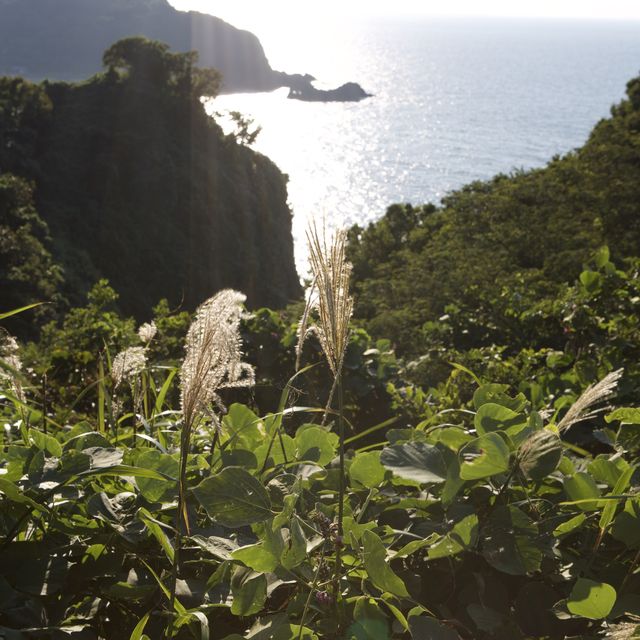 能登半島 ｜🩵木ノ浦海域公園